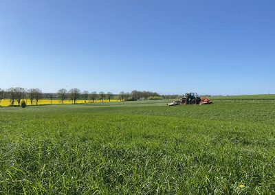 AgriKultur, Gras mähen