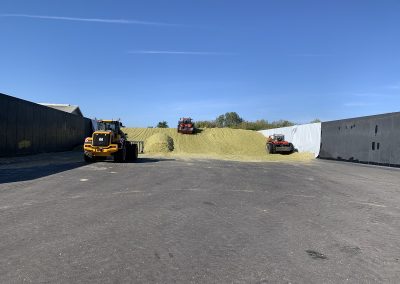 AgriKultur , Maissilo