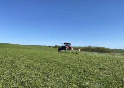 AgriKultur, Gras schwaden